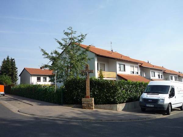 Baumpflege in Bad Nauheim:
Ginkgo nach Kroneneinkürzung