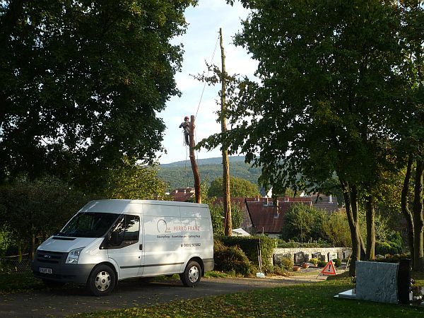 Baumfällung in Ober-Mörlen:
Fällung mehrerer Nadelbäume auf dem Friedhof (4)