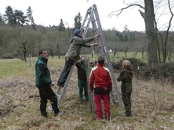 Obstbaumschnittkurs in Butzbach: Teilnehmer beim gemeinsamen Üben des Pflanzschnitts