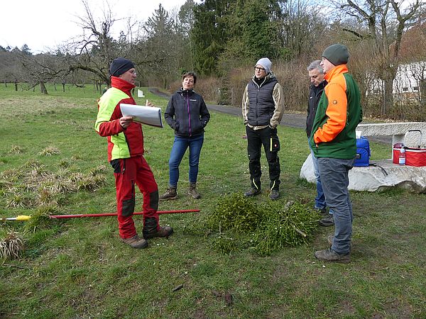 Obstbaumschnittkurs in Bad Nauheim: Einführung in das Problem „Mistel“